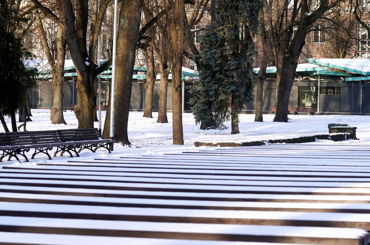Vērmanes dārzs. Foto: Lita Millere/LETA
