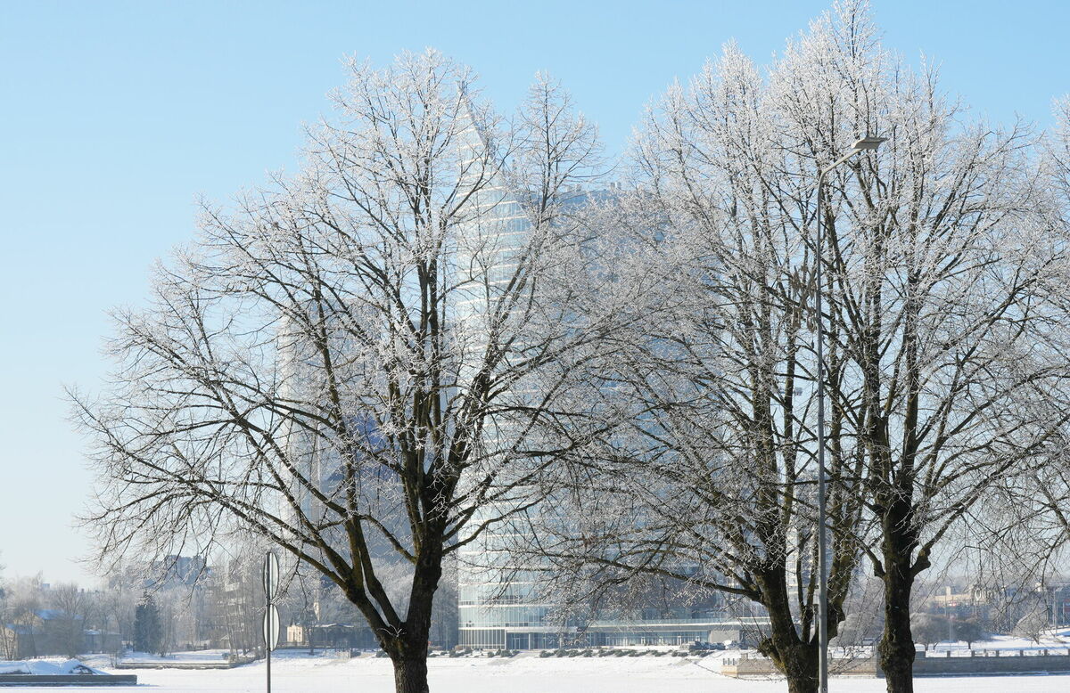 Evija Trifanova/LETA