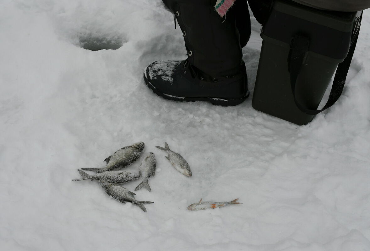 Foto: Ivars Soikāns/LETA