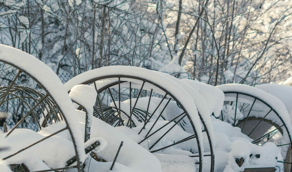 Foto: Ainārs Cekuls/Unsplash