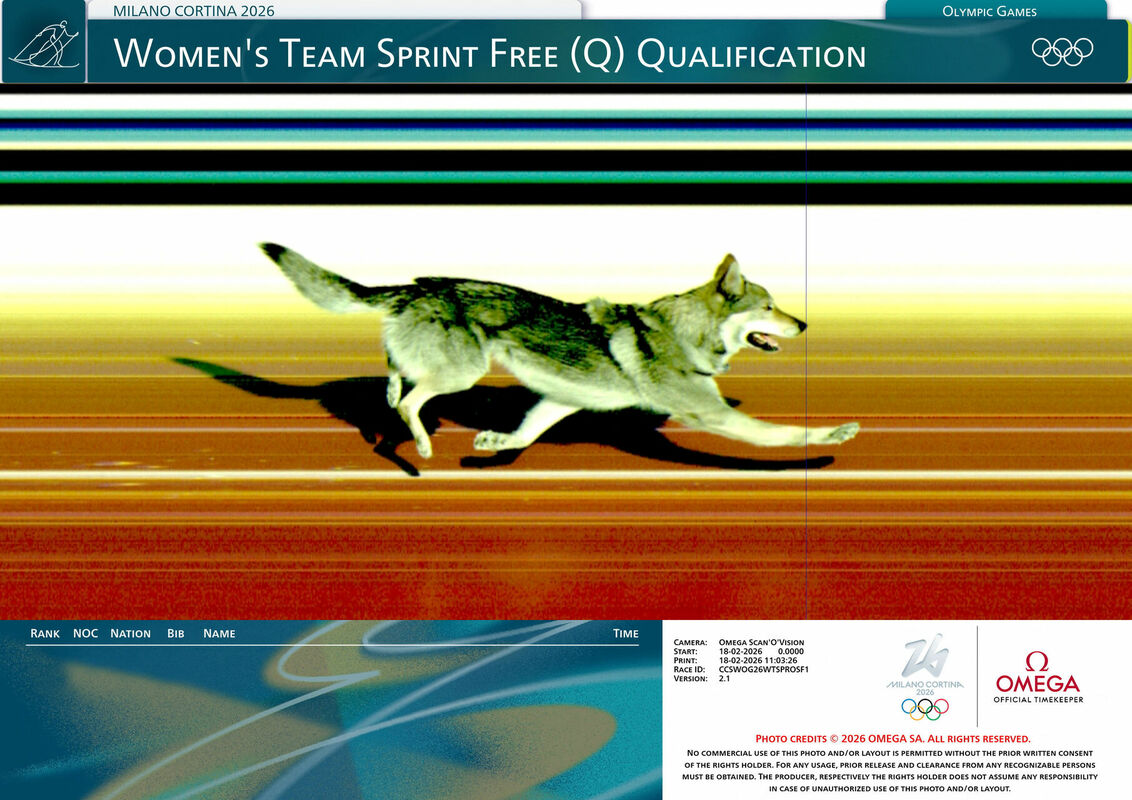 Suņa bilde pie finiša līnijas. Foto: Omega/Handout/REUTERS