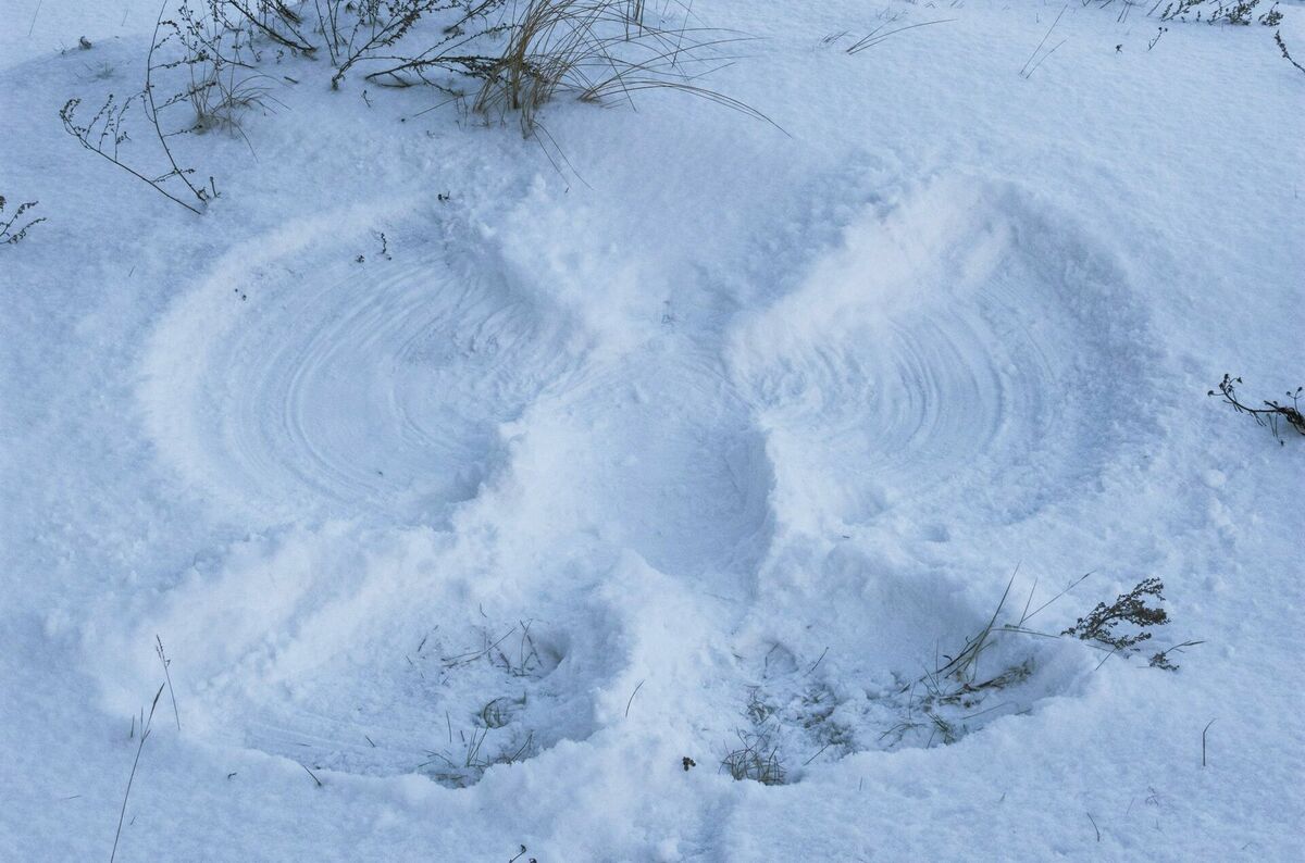 Foto: Austris Augusts/Unsplash