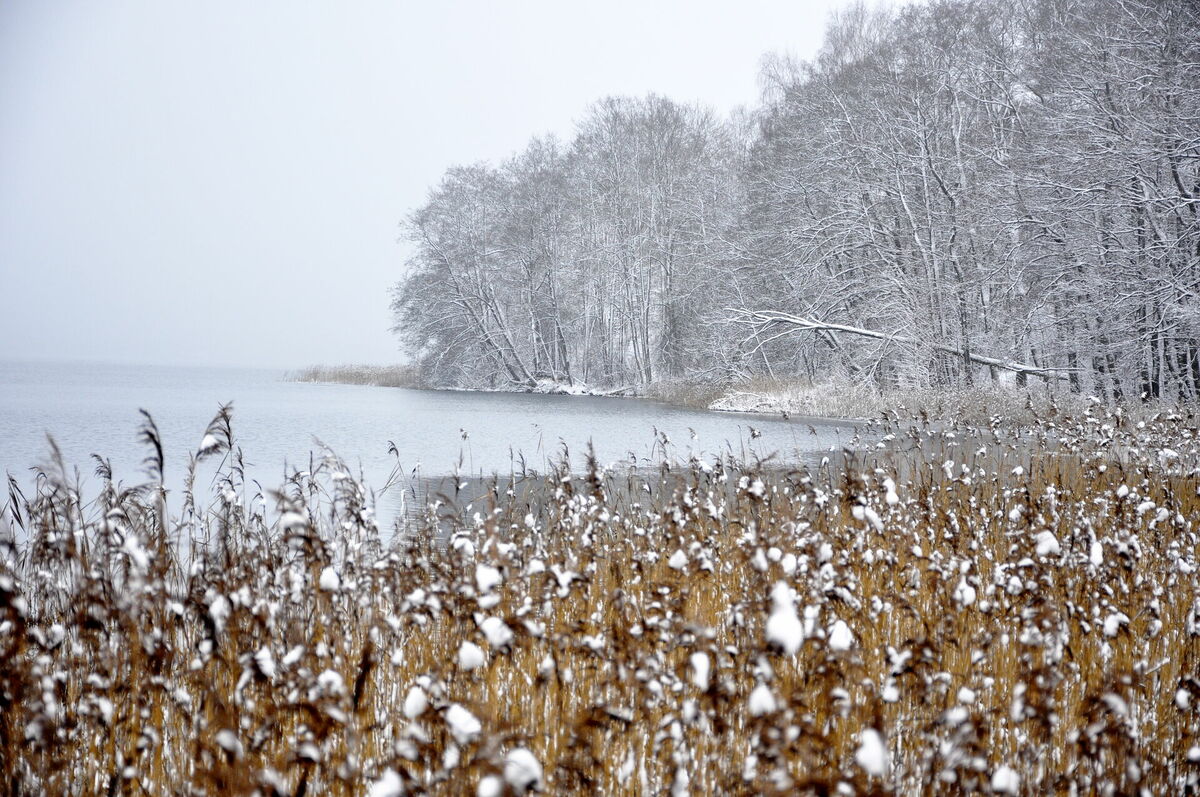 Ziemas ainava Latgalē. Foto: LETA