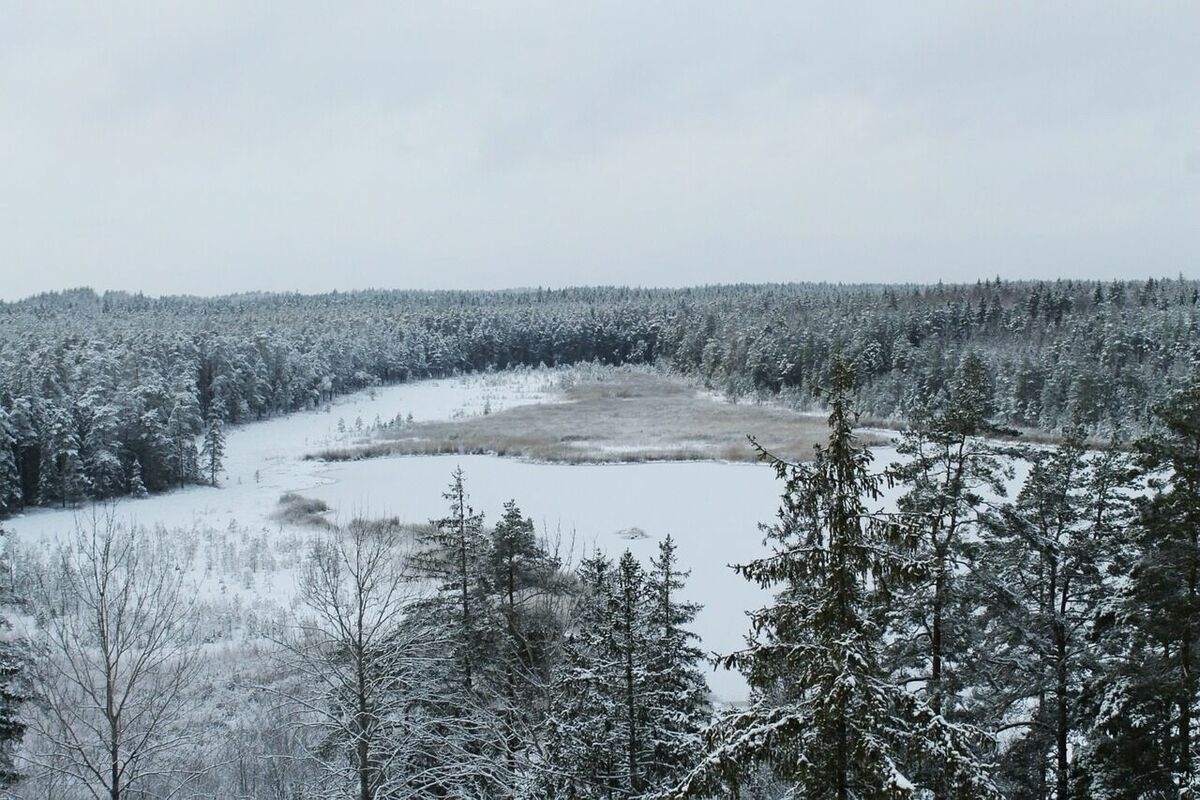 Latvija. Foto: Pixabay