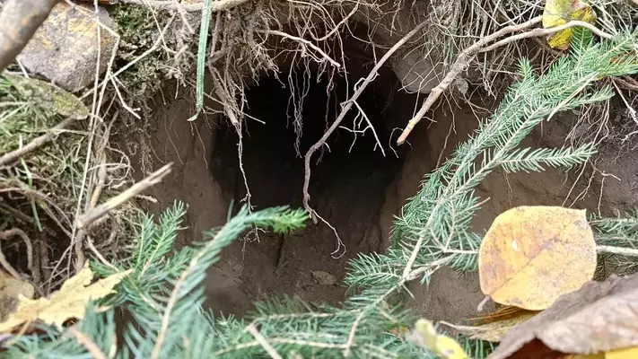 Foto: "X"/@MKierwinski 