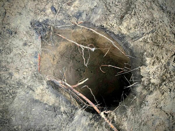 Foto: "X"/@Straz_Graniczna