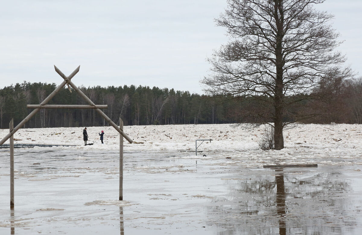 Applūdusi teritorija pie Gaujas Carnikavā. Foto: LETA