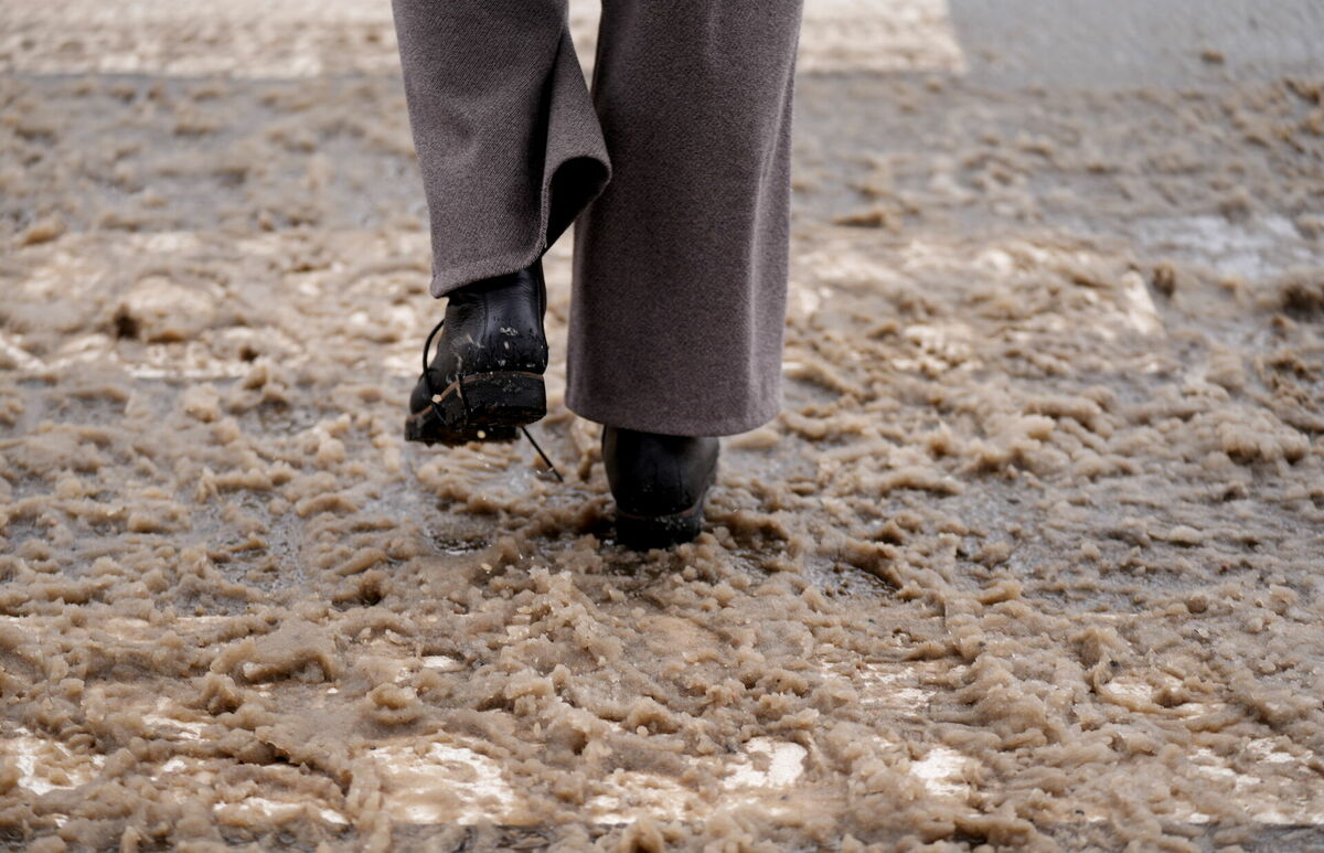 Foto: Zane Bitere/LETA