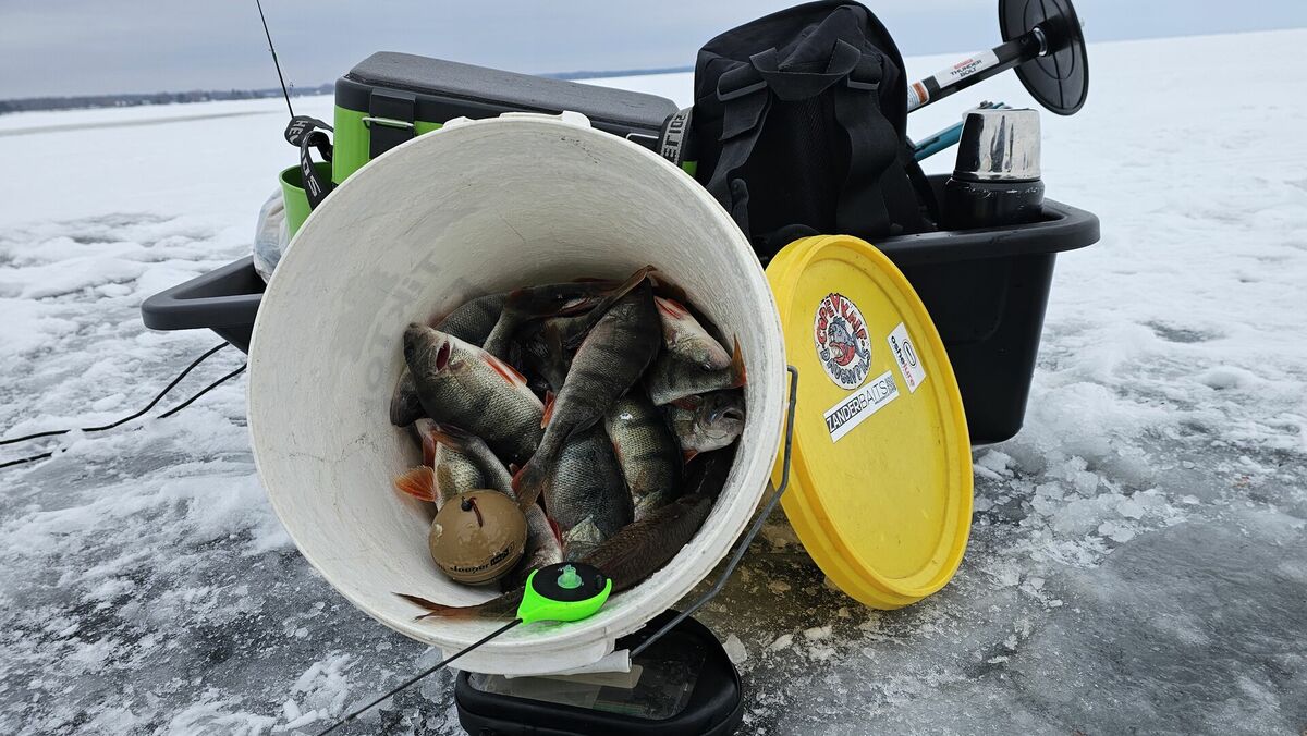 Foto: Zaļais makšķernieks