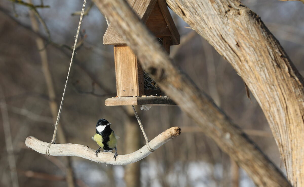 Foto: Evija Trifanova/LETA