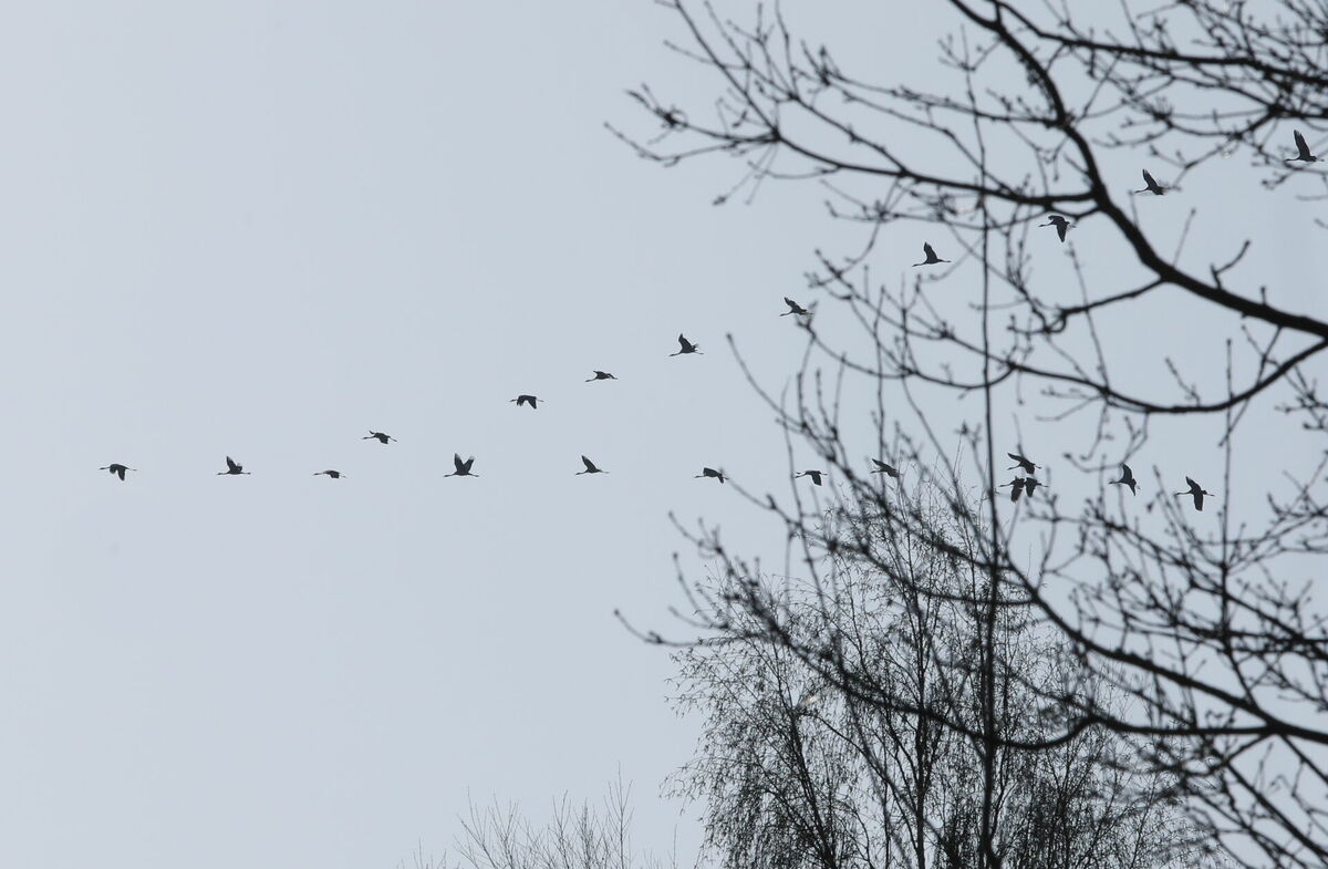 Foto: Evija Trifanova/LETA