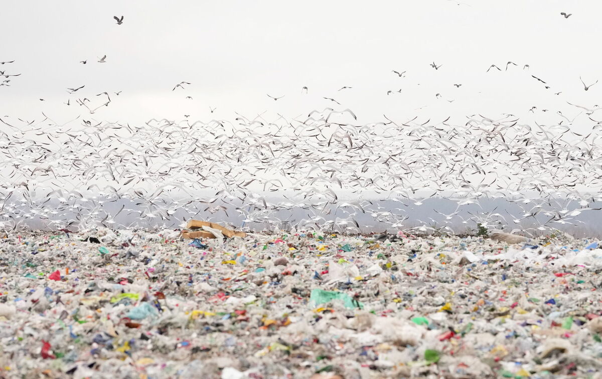 Atkritumu poligons. Foto: LETA