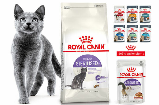 Foto: facebook.com/RoyalCaninLatvia 