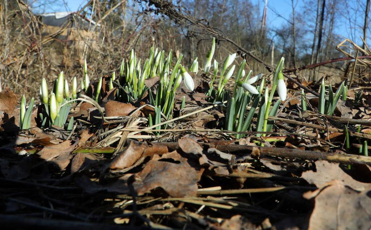 Foto: Evija Trifanova/LETA