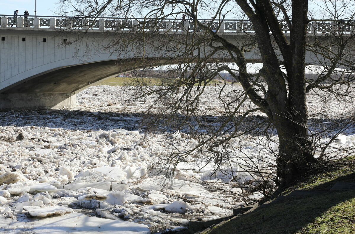 Attēls ilustratīvs. Foto: Evija Trifanova/LETA