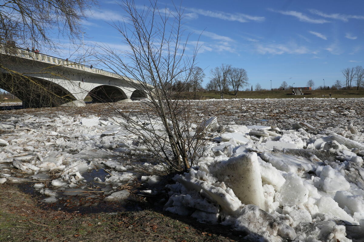 Lielupe Jelgavā. Foto: Evija Trifanova/LETA