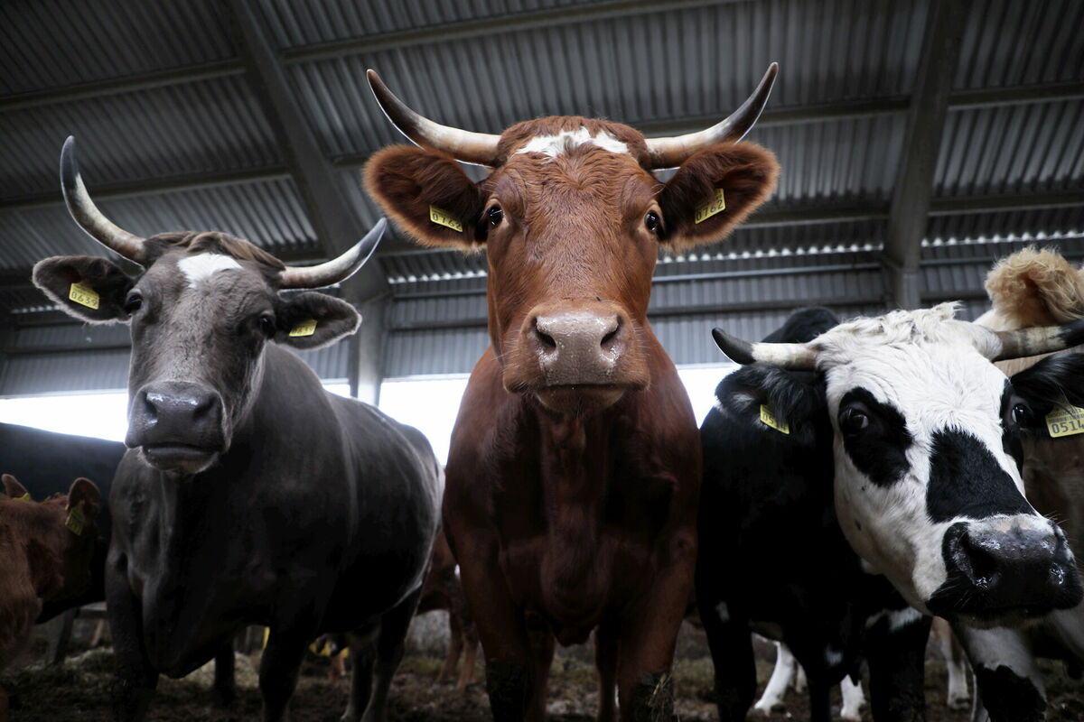 Ilustratīvs attēls. Foto: LETA