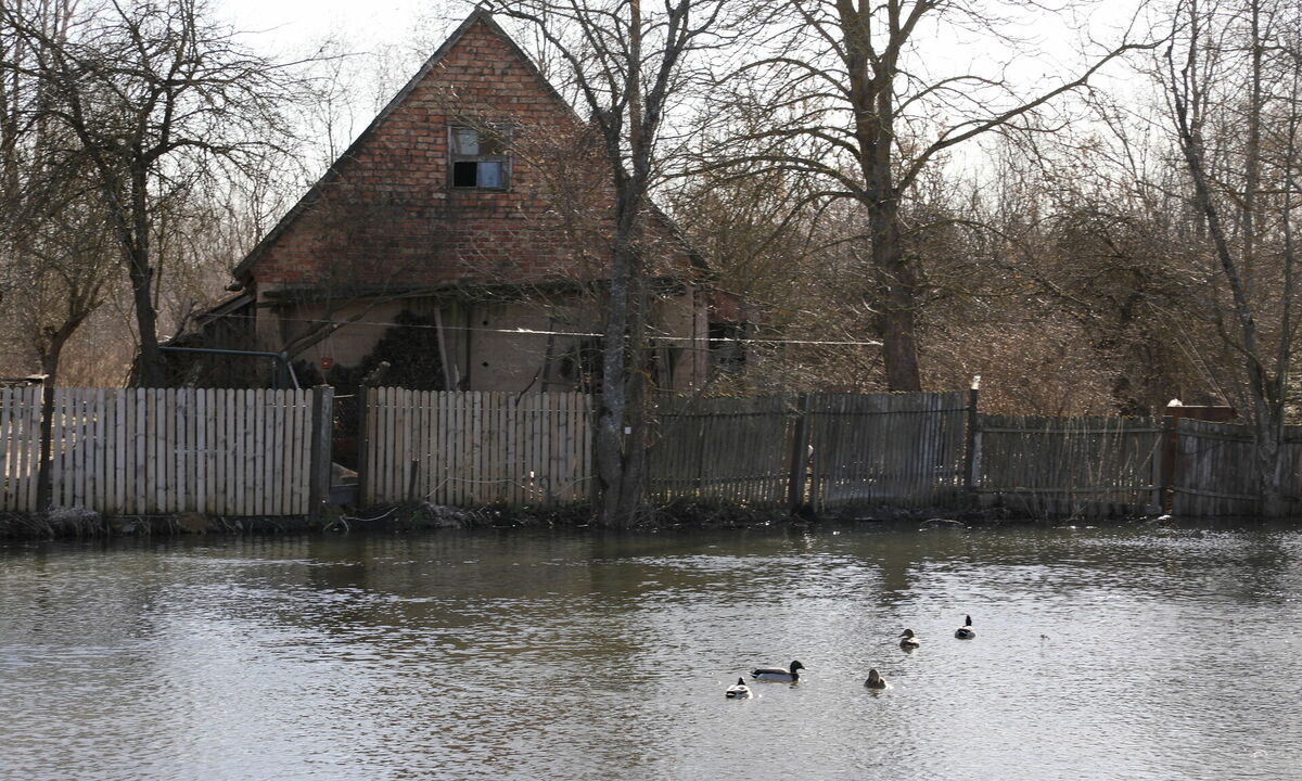 Attēls ilustratīvs. Foto: Evija Trifanova/LETA