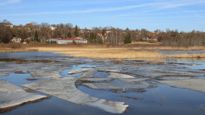 Pārplūdusi Abava pie Kandavas. Foto: Daiga Rēdmane
