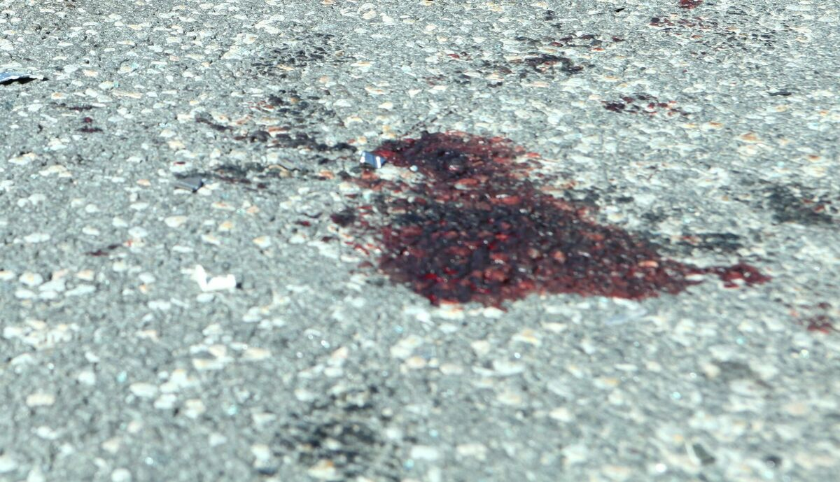 Foto: Edijs Pālens/LETA