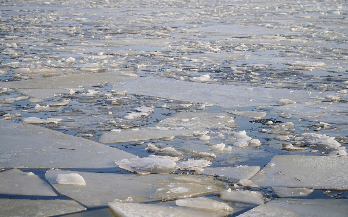 Foto: Paula Čurkste/LETA