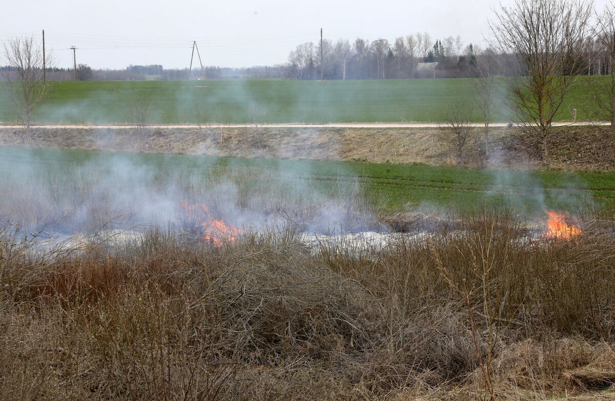 Foto;:Evija Trifanova/LETA