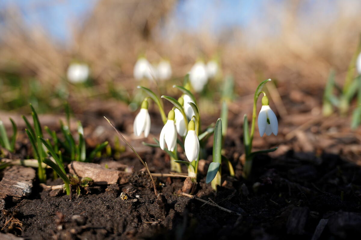 Foto: Evija Trifanova/LETA