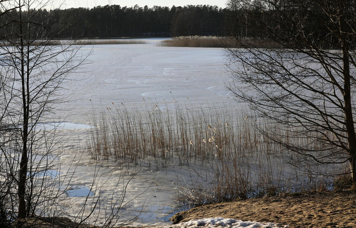 Attēls ilustratīvs. Foto: Evija Trifanova/LETA