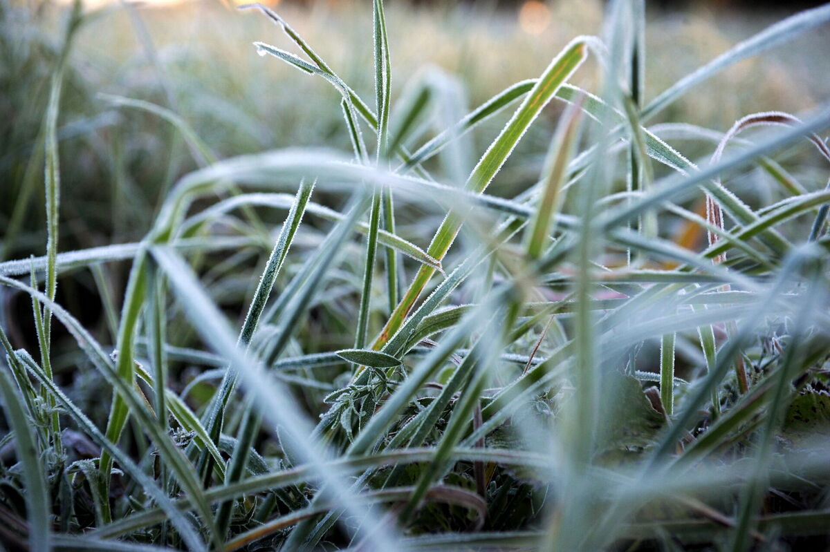 Salna. Foto: Edijs Pālens/LETA