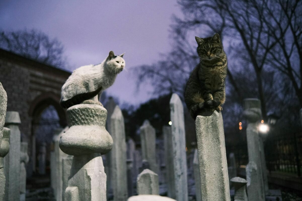 Unplash/Ilustratīvs foto