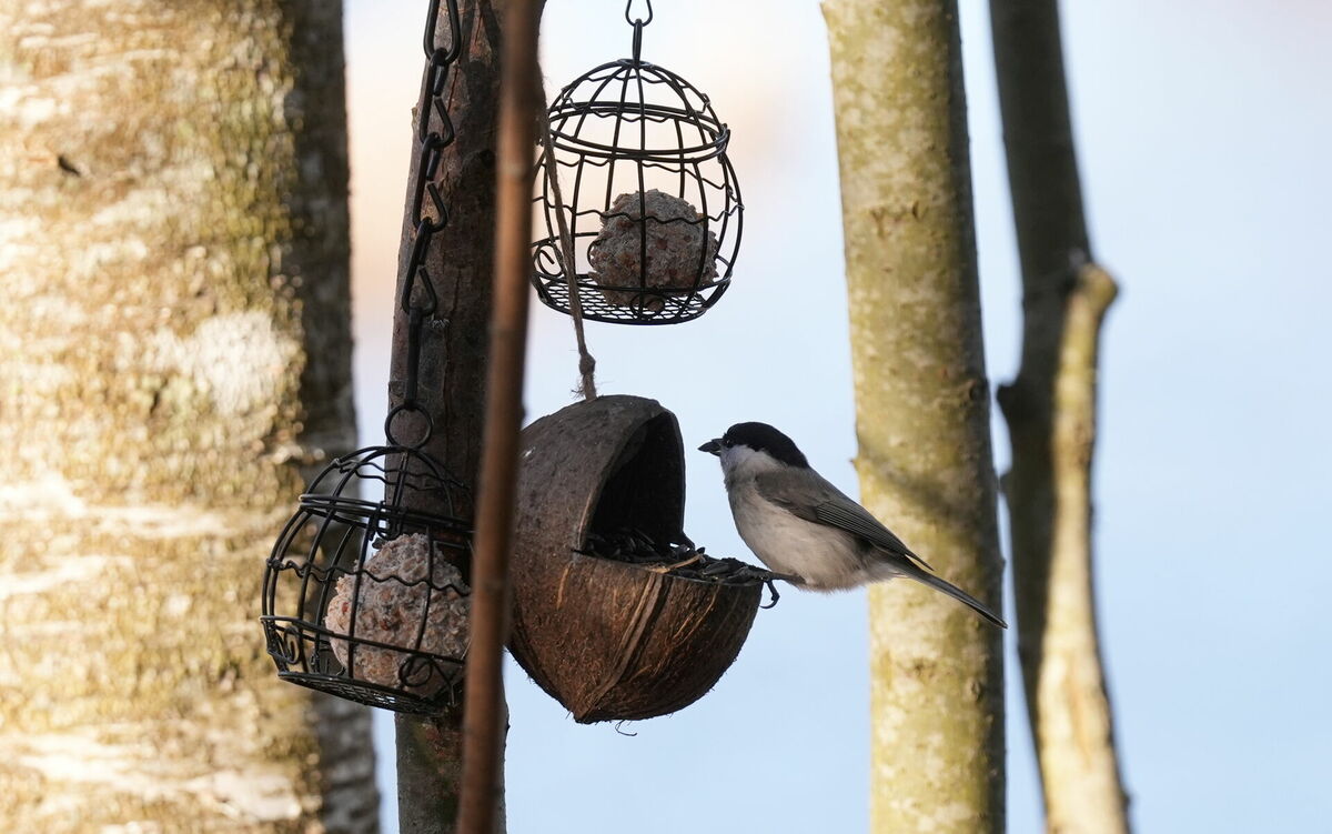 Evija Trifanova/LETA