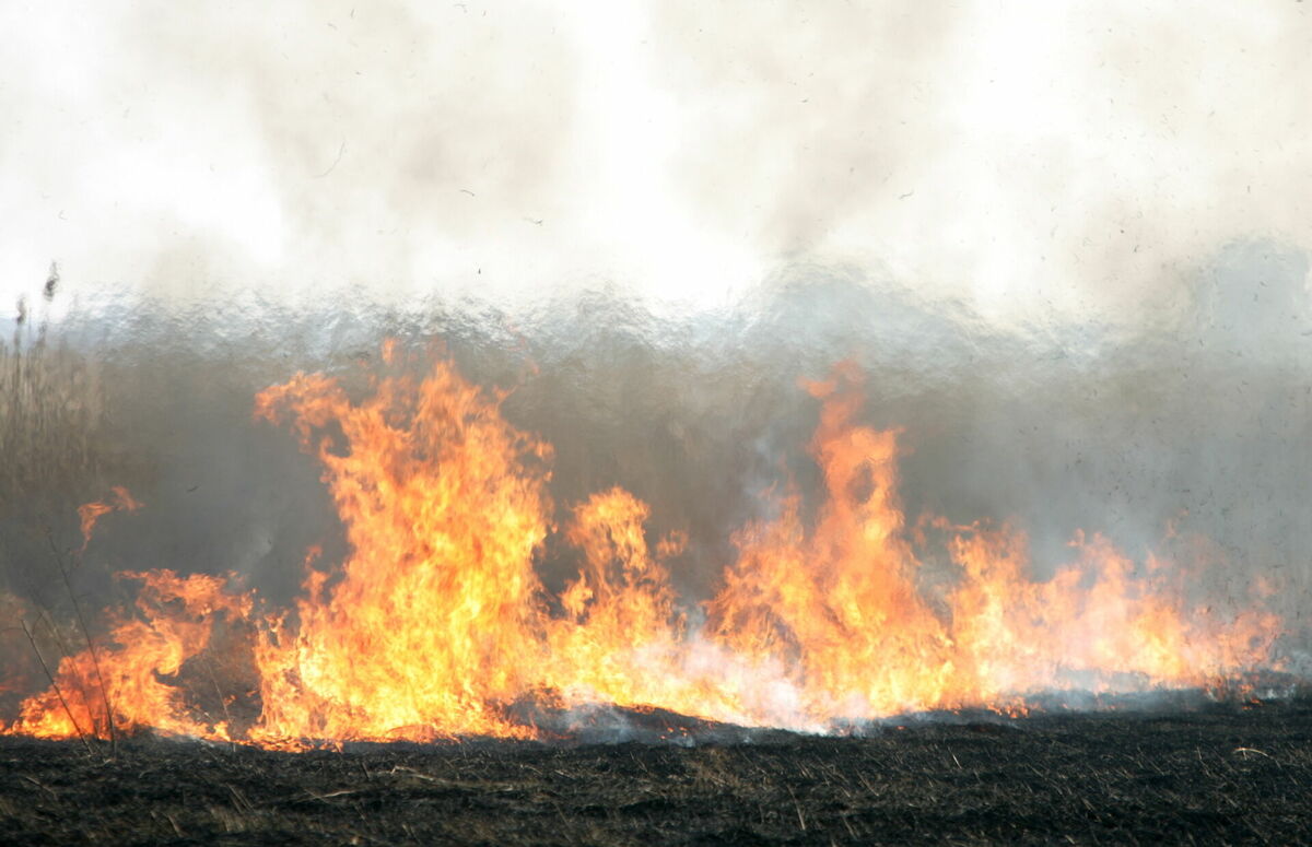 Kūlas ugunsgrēks. Foto: LETA