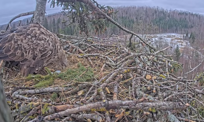 Foto: Ekrānšāviņš no video