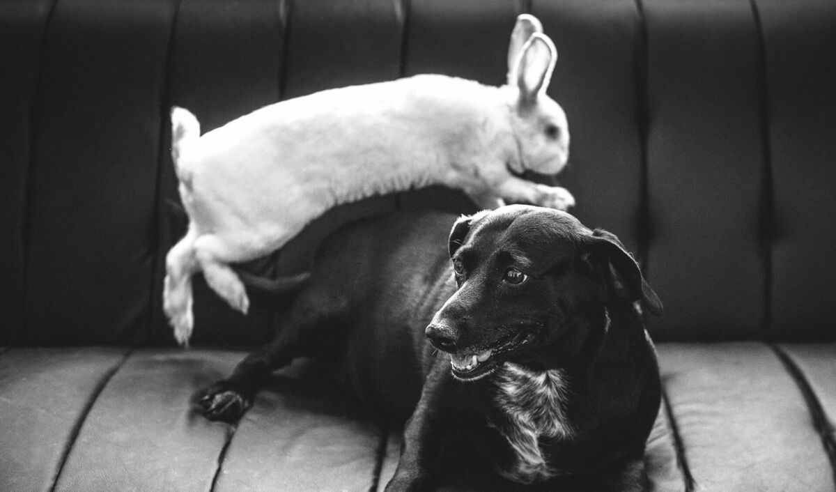 Ilustratīvs attēls. Foto: Unsplash