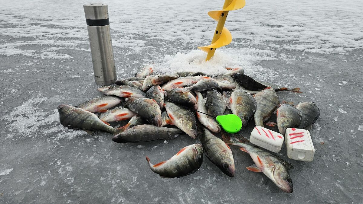 Foto: Zaļais makšķernieks