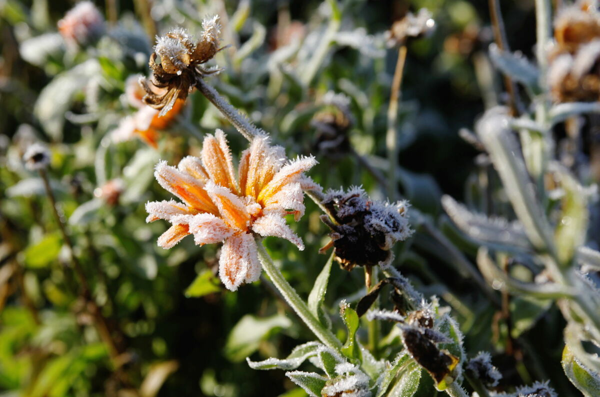 Foto: Una Kupruka/LETA