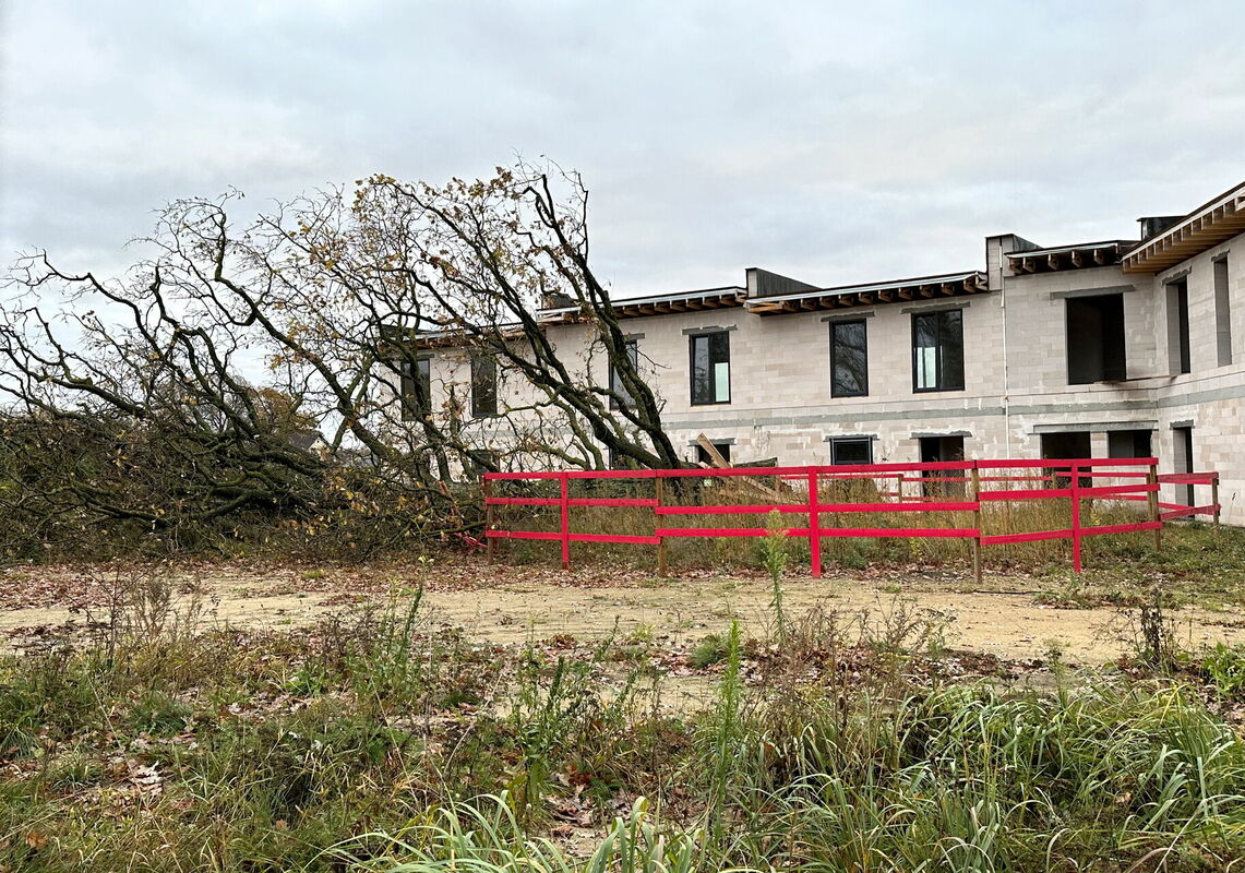 Foto: Paula Čurkste/LETA