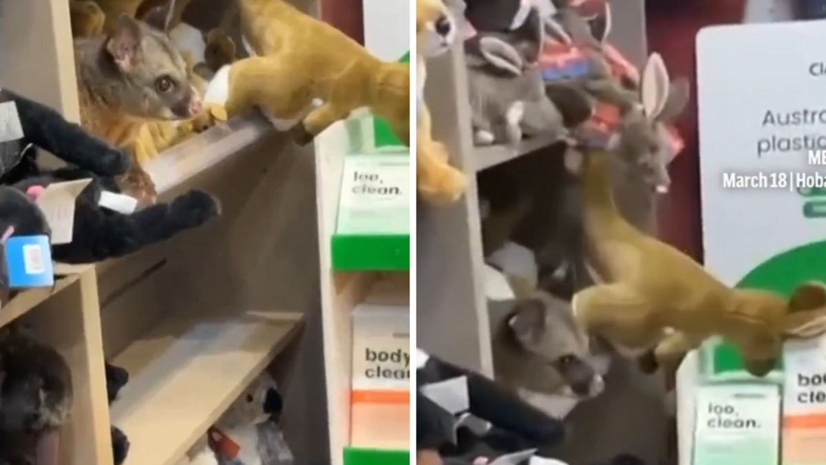 Foto: Ekrānuzņēmums no video