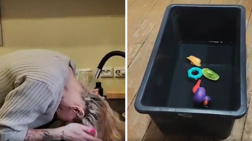 Ekrānuzņēmumi no raidījuma "Ģimene burkā"