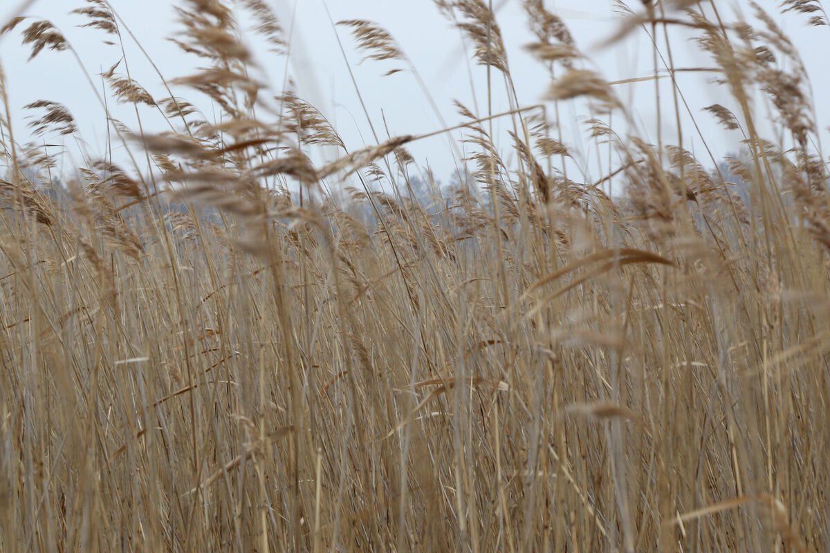 Foto: Evija Trifanova/LETA