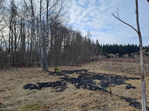 Foto: NBS Apvienotā štāba Informācijas analīzes un vadības departaments