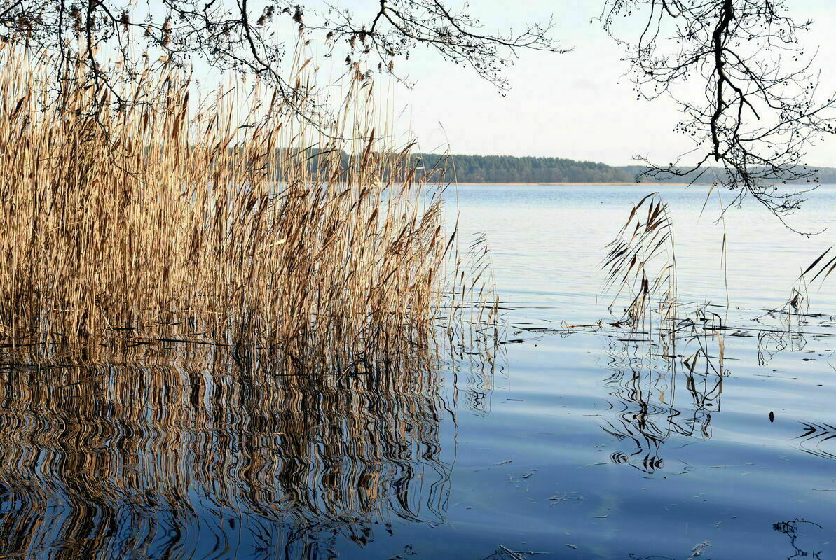 Attēls ilustratīvs. Foto: Zane Bitere/LETA