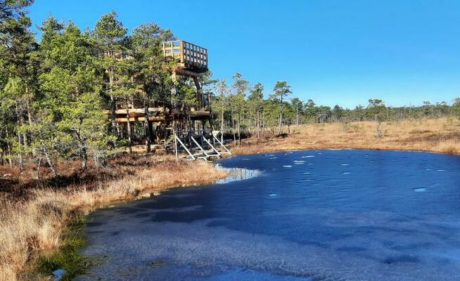 Foto: Latvijas valsts meži