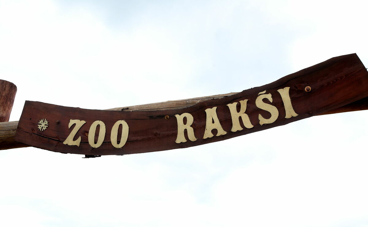 Foto: Paula Čurkste/LETA