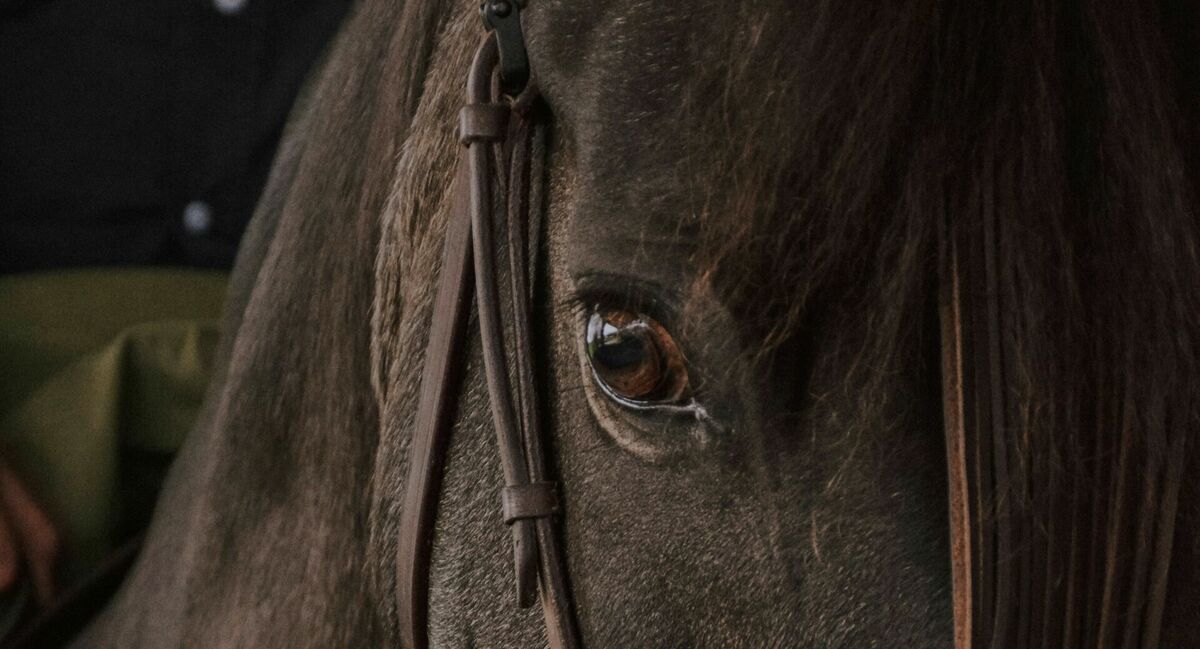 Ilustratīvs attēls. Foto: Unsplash