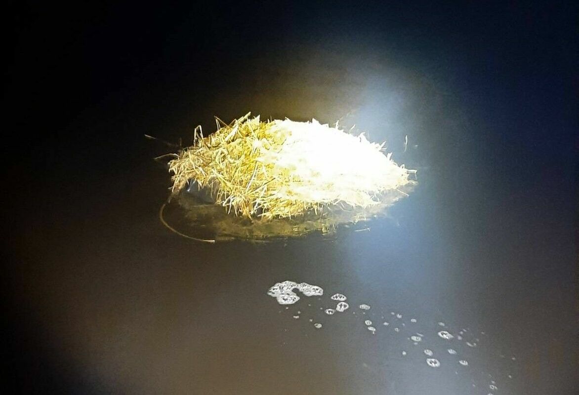 Foto: Valsts robežsardze