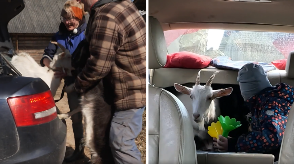 Ekrānuzņēmumi no raidījuma "Četri uz koferiem"