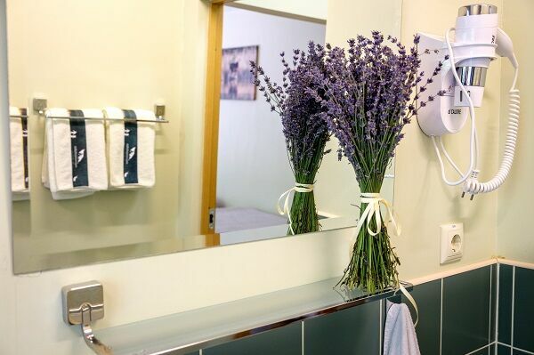 Foto: Publicitātes attēls