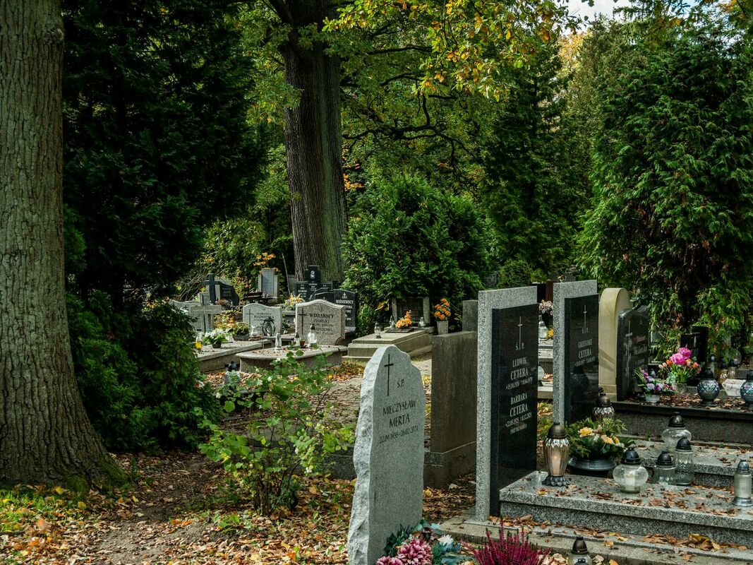 Veco kapavietu atjaunošana. Foto: SHOX ART, Pexels.com