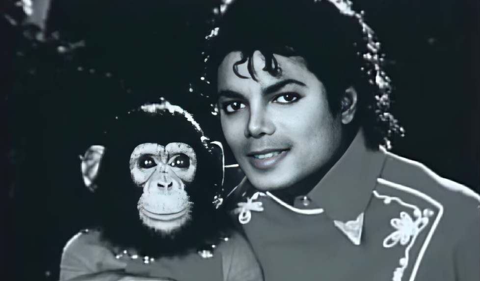 Ekrānuzņēmums no  Awards Show Network/Youtube